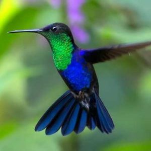 Meet your Posher, Sheree